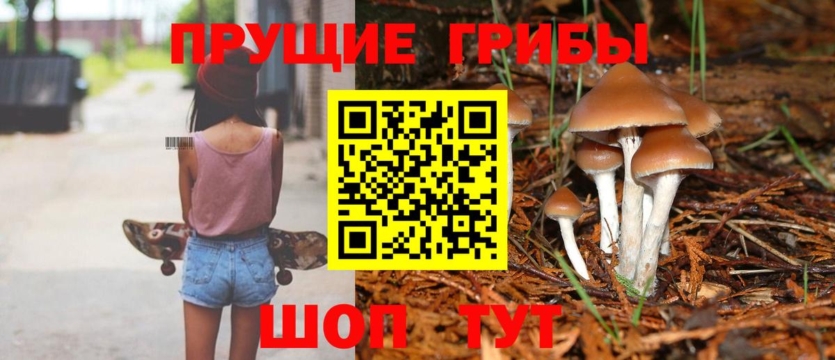 Галлюциногенные грибы MAGIC MUSHROOMS Мариинск